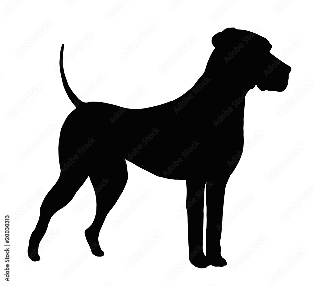 Vector drawing of a dog