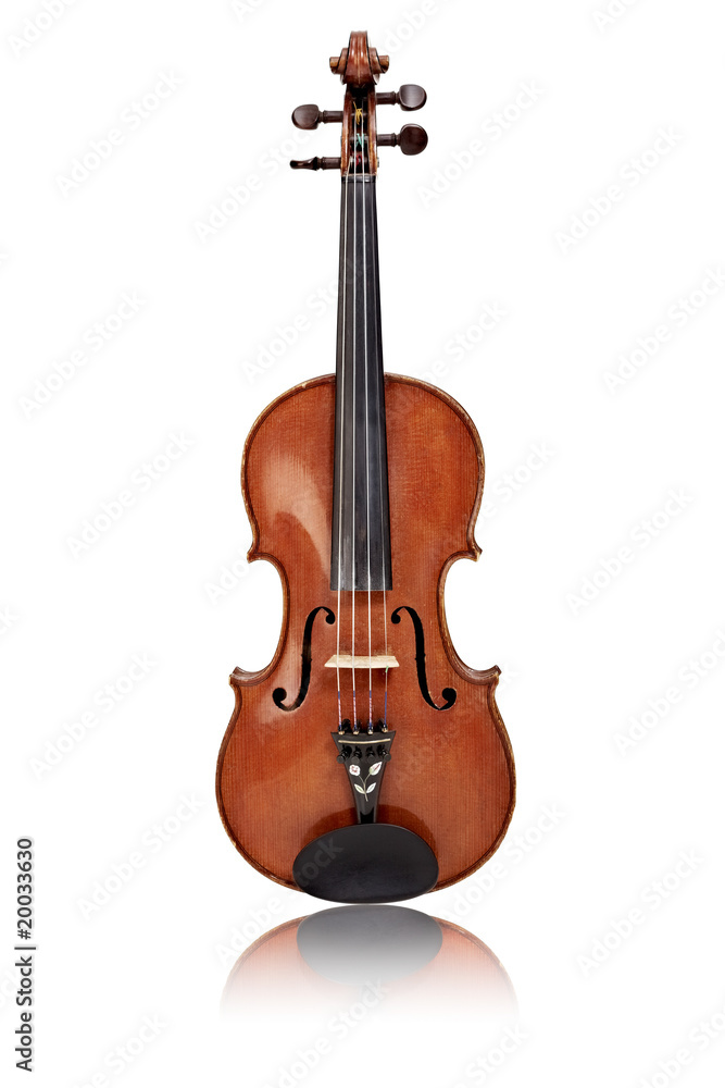 Obraz premium Geige isoliert