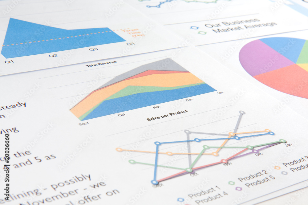 Graphs on a Report Graphs on a Report