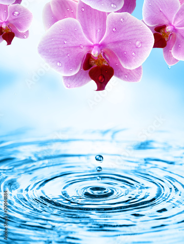 Fototapeta Naklejka Na Ścianę i Meble -  Wellness - bildlich dargestellt