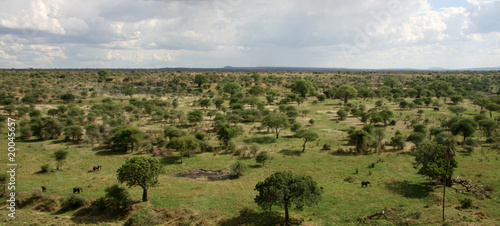 African Landscape - Tarangire National Park. Tanzania  Africa