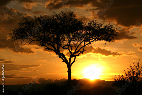 African Sunset. Tanzania  Africa