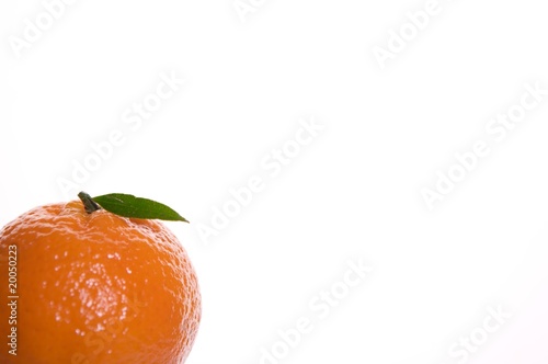 Fruit oranges