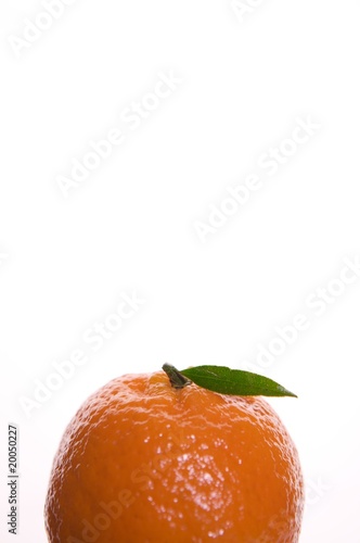Fruit oranges