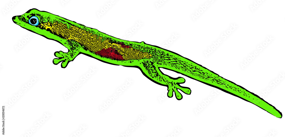 lezard lezard