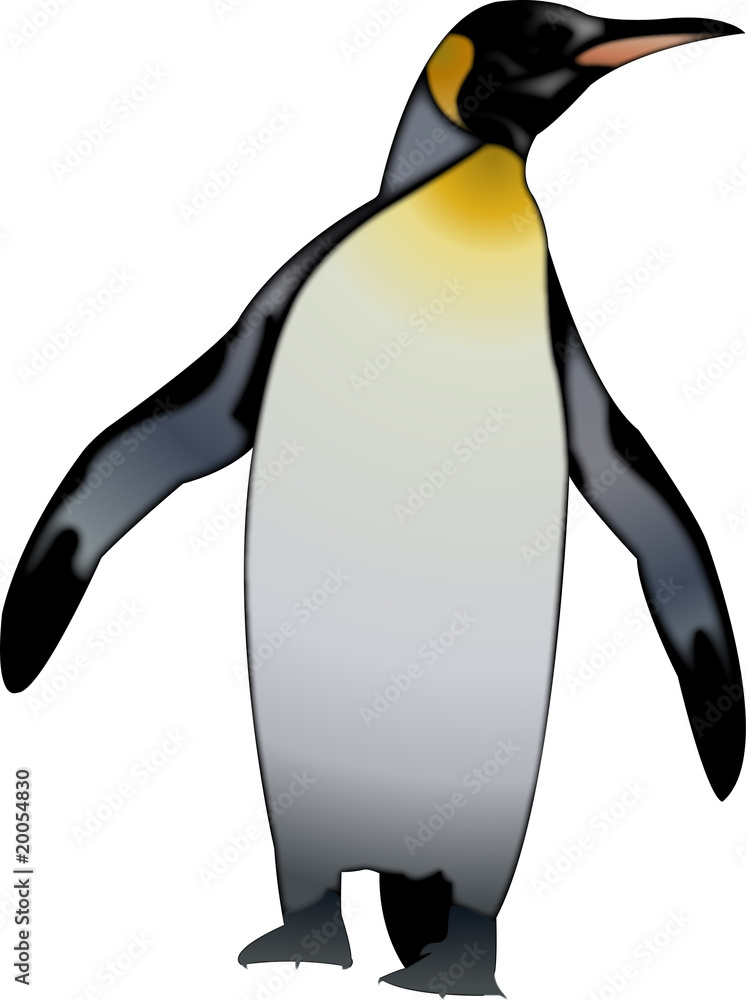 Obraz premium pingouin empereur réaliste