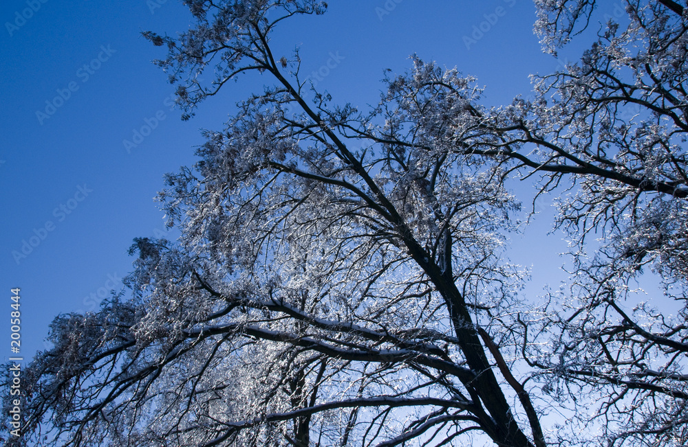 winter winter