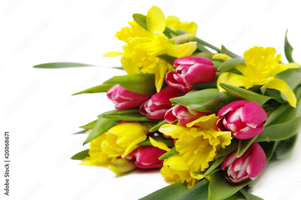 Blumenstraus aus Tulpen und Narzissen