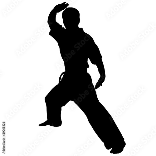 Slika na platnu martial arts. Karate block.