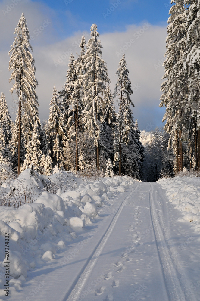 Obraz premium Winter Schee Landschaft Wald