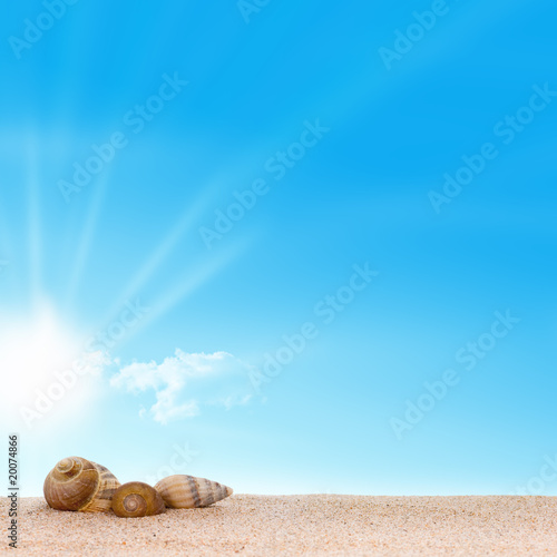 image plage sable et coquillages - fond ciel bleu et soleil