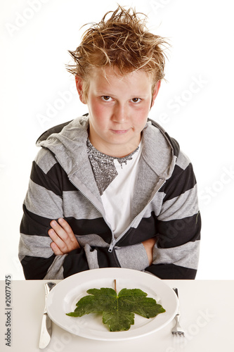 Boy with vegetarian dinner