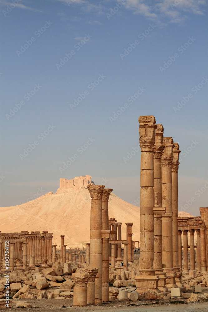 Palmyra ruins and Qala'At Ibn Maan Castle