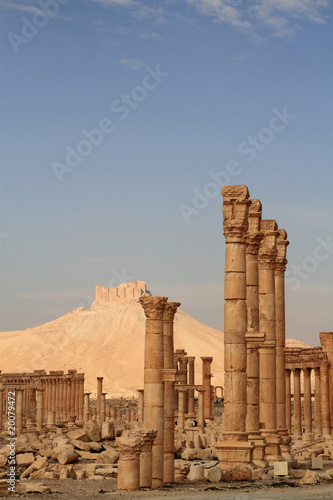 Palmyra ruins and Qala'At Ibn Maan Castle photo