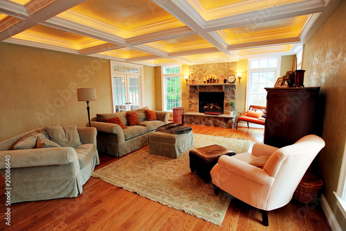 Upscale Living Room Interior