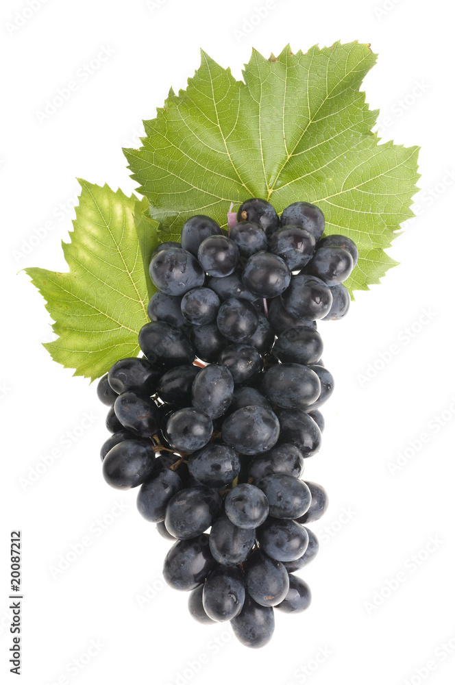 Fototapeta premium Grape food over white