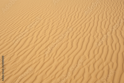 desert sand