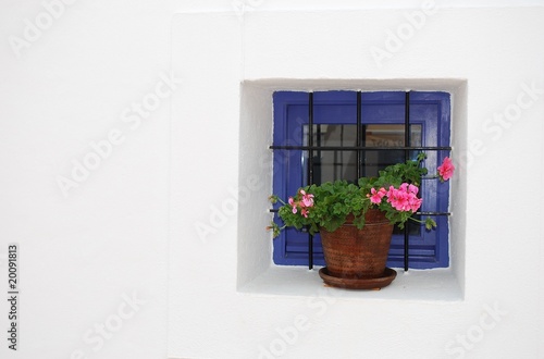 geranio en la ventana © almansablues