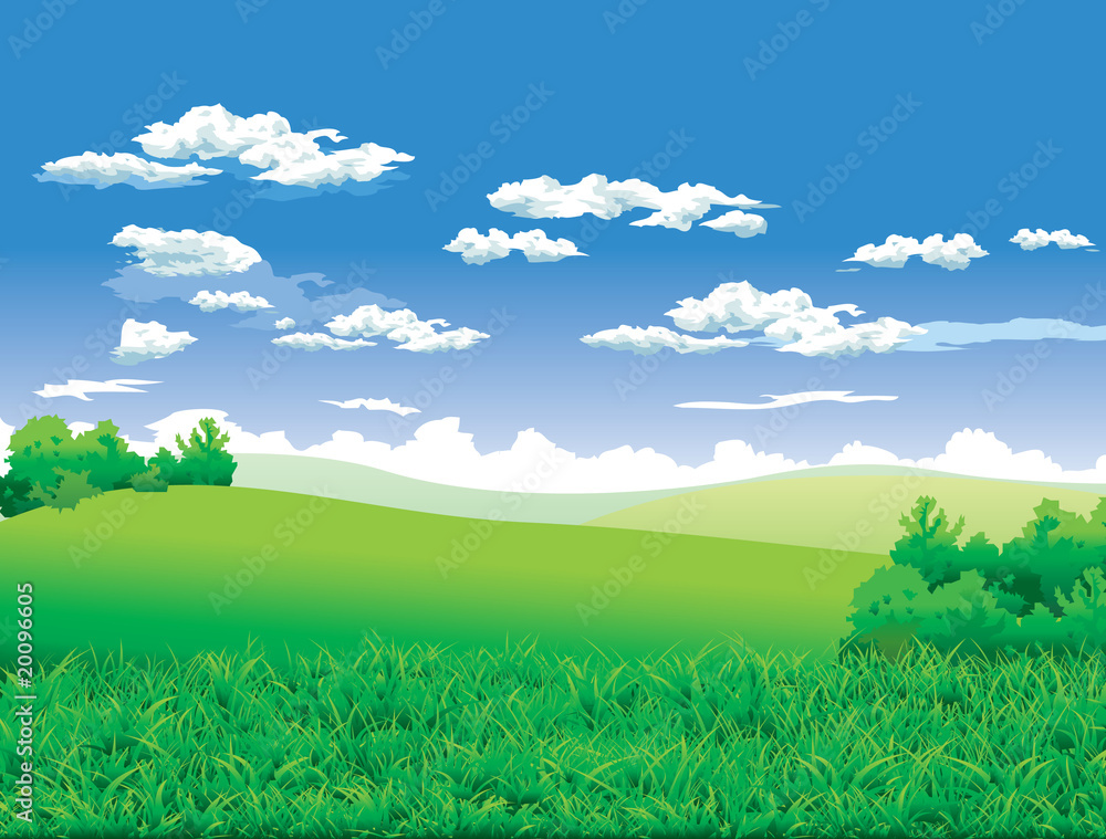 Landscape Landscape