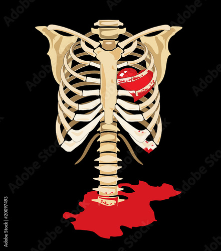 Vector. Red heart inside of skeleton and blood splatters