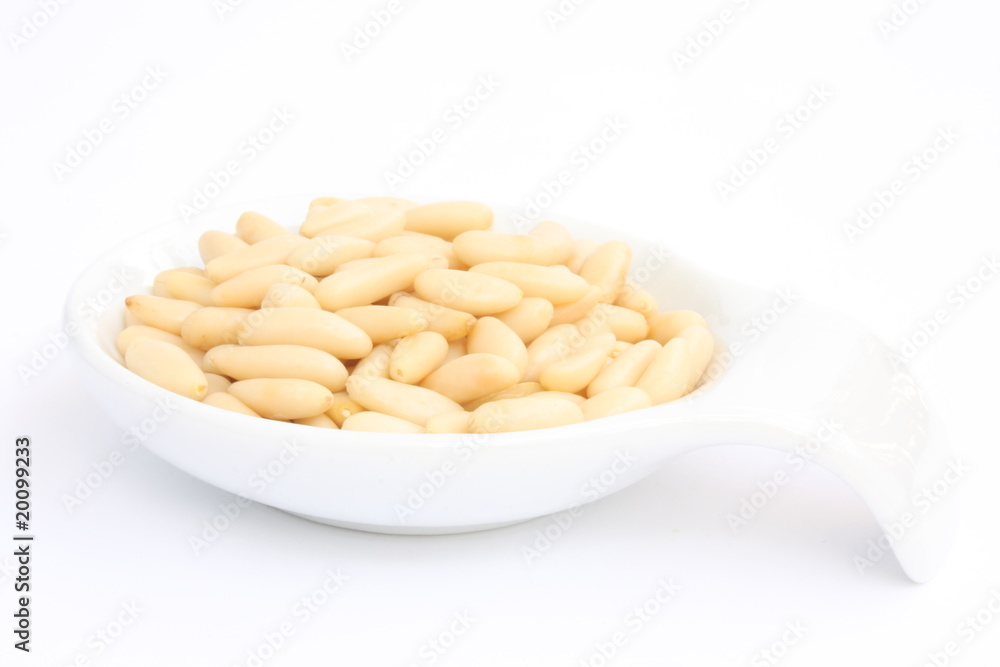 Pine nut / 松子 Pine nut / 松子