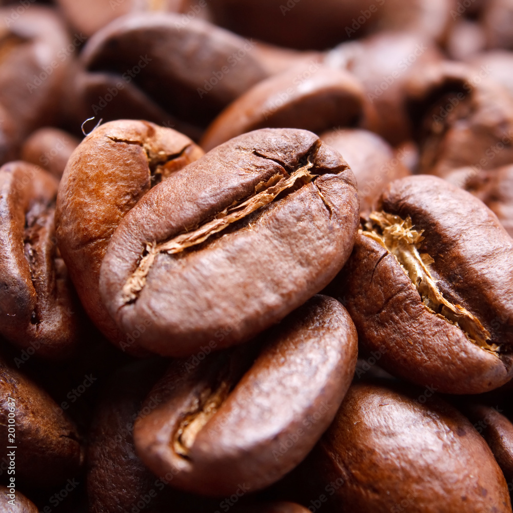 Obraz premium coffee beans.