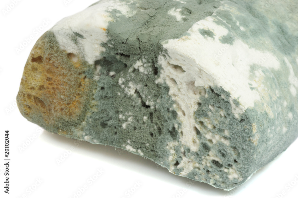 Nahaufnahme von verschimmeltem Brot Nahaufnahme von verschimmeltem Brot