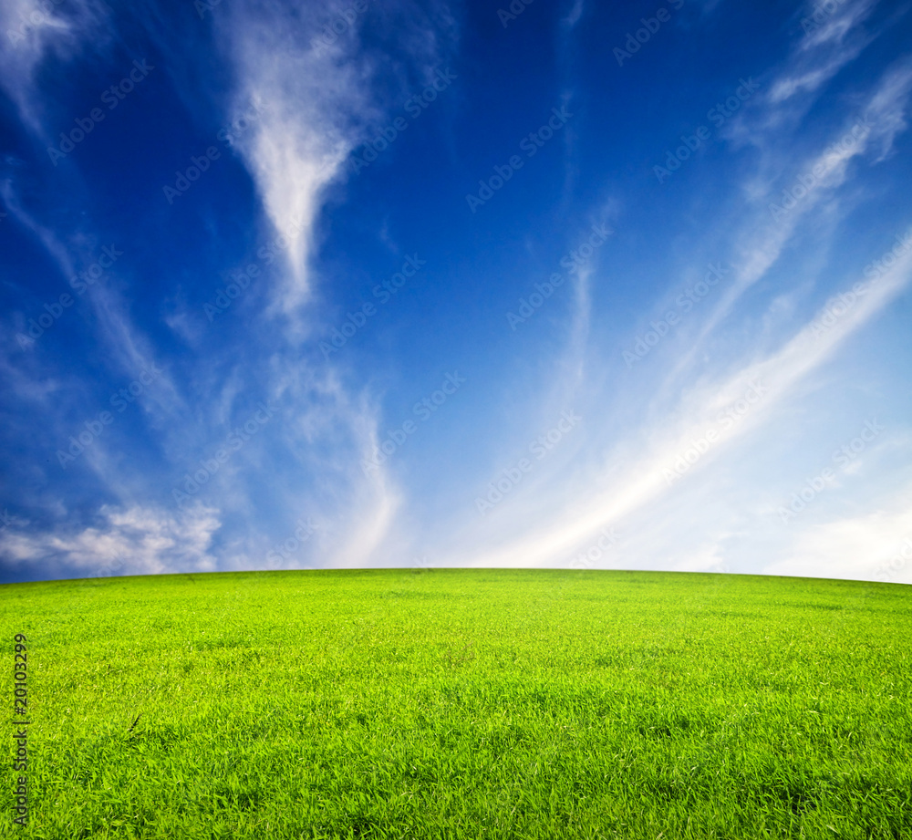 Green field and blue sky