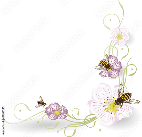 Wildrose, Rosen, Bienen, florale Ranke, Blumen