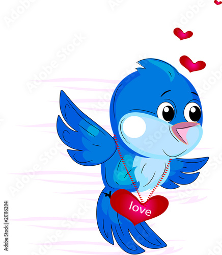 Bird vector