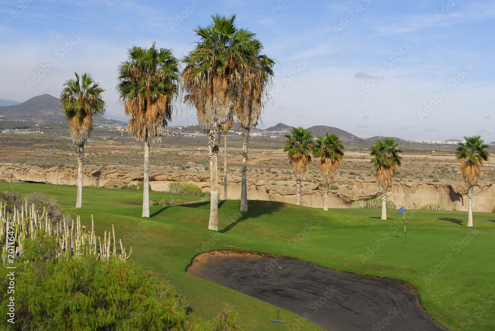 golf course with palm trees in Tenerife,Canary islands