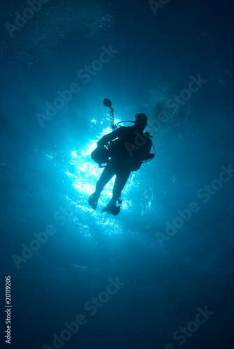 Silhouette of a scuba diver © Mark Doherty