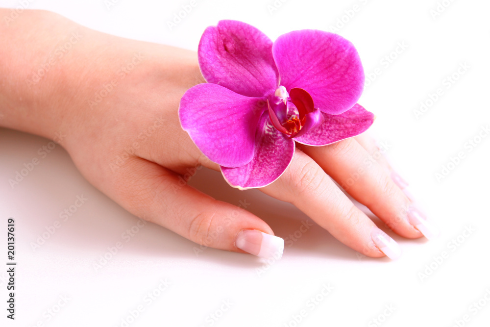 manicure,handpflege manicure,handpflege