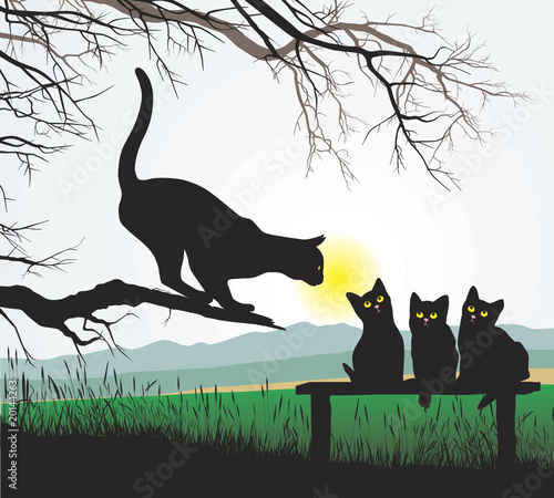 Cat school jumping