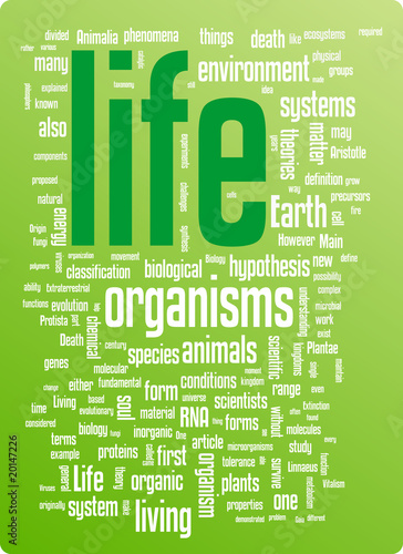 Life word cloud illustration