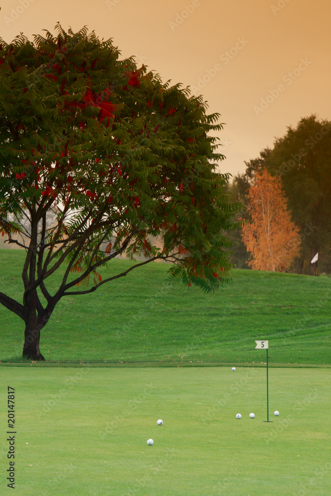 Fototapeta premium Golf meadow