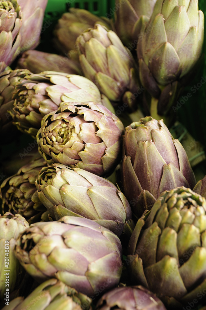 Fototapeta premium container of artichoke in industry of packaging