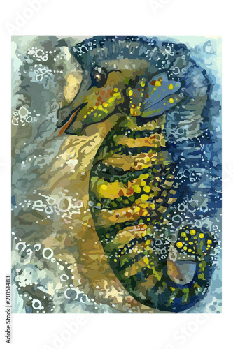 hippocampus