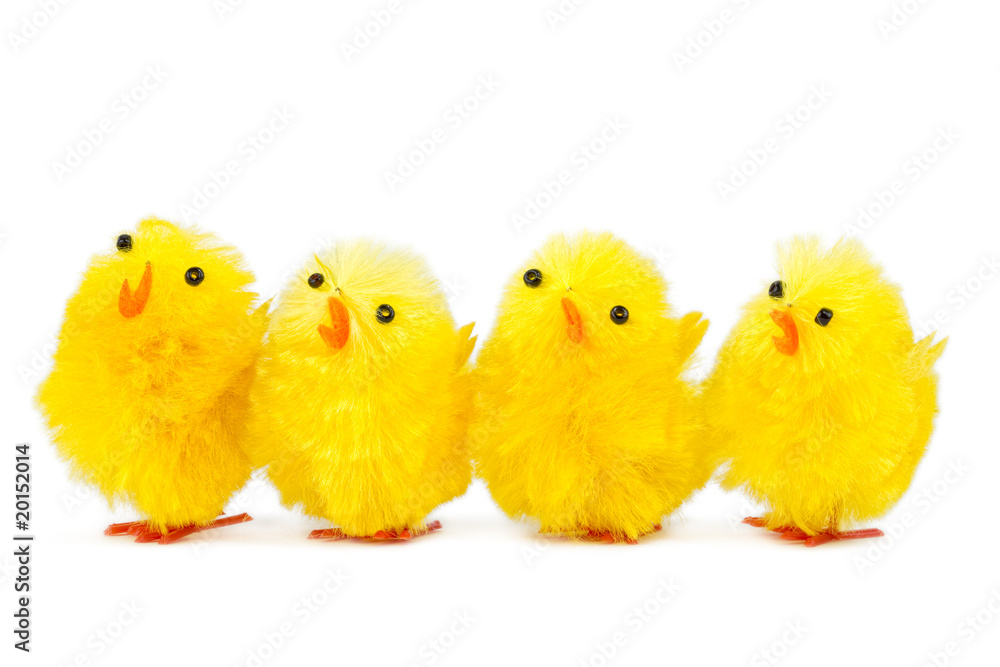 four singing chicks