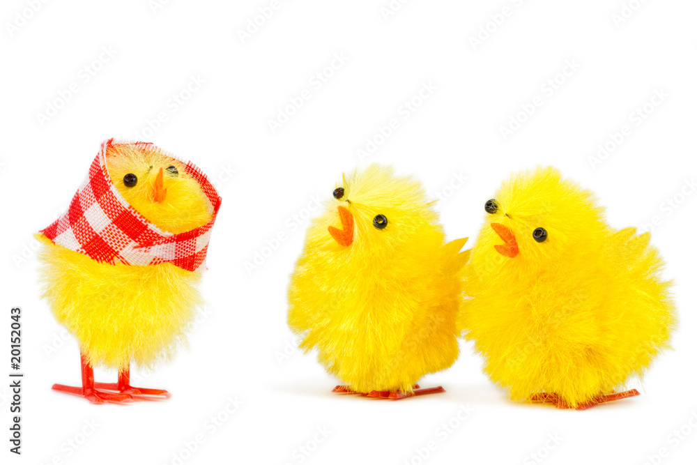 mommy chick and two sons