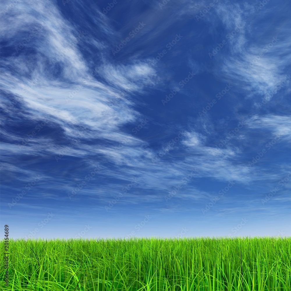 High resolution grass and sky background High resolution grass and sky background