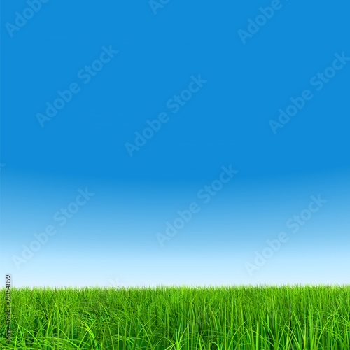 High resolution grass and sky background