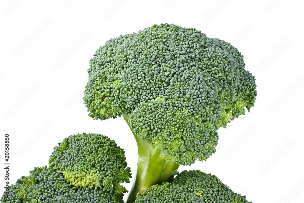 Green broccoli closeup isolated on white Green broccoli closeup isolated on white