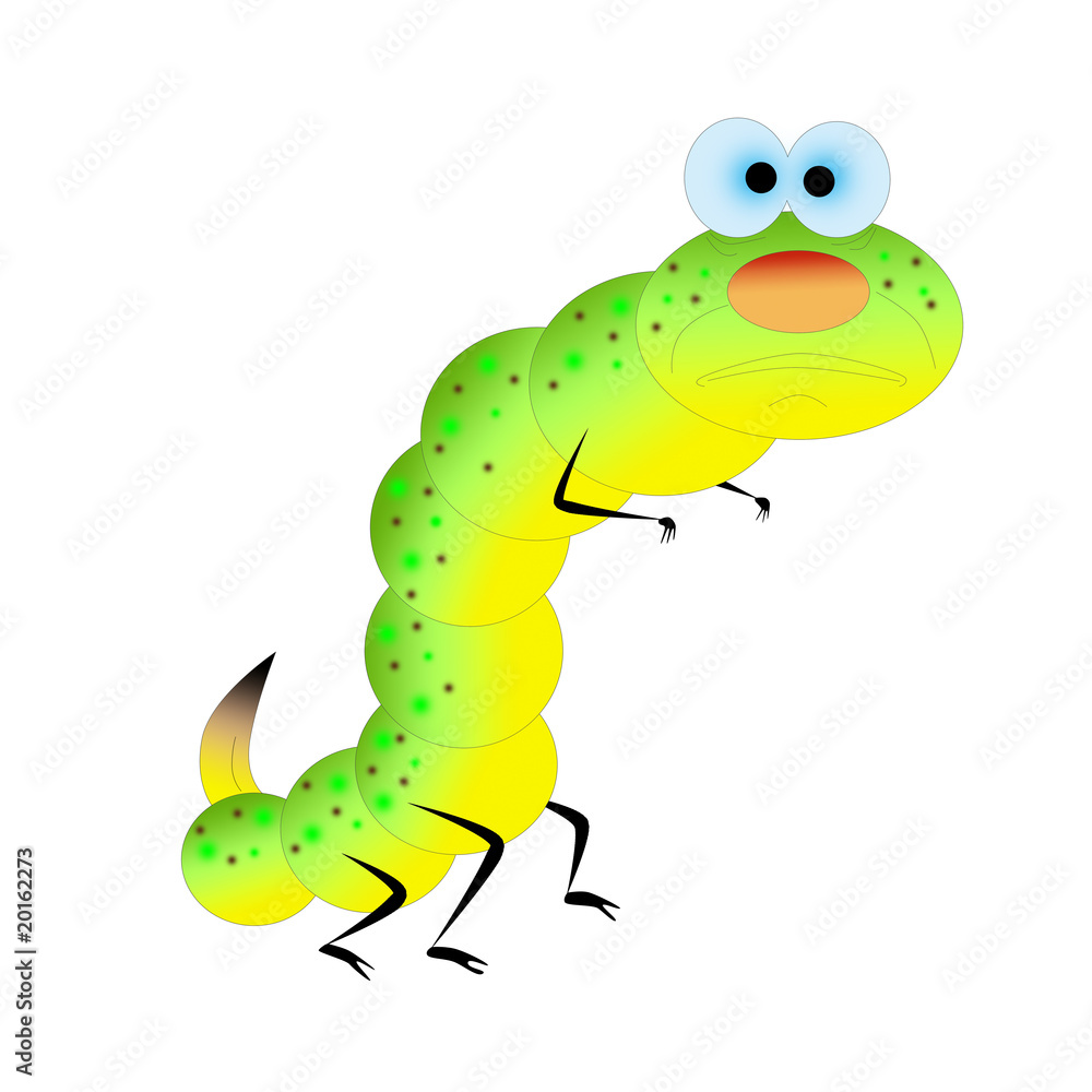 Obraz premium caterpillar