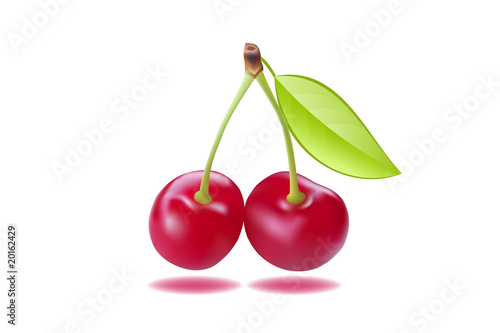 cherries vector illustration