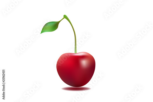 cherry vector illustration