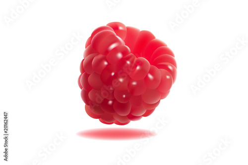 raspberry vector illustration
