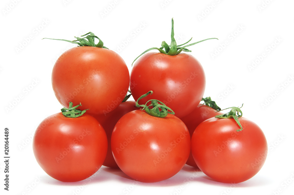 tomatoes tomatoes