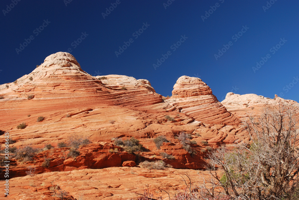 Fototapeta premium Paria Canyon,Vermilion Cliffs National Monument