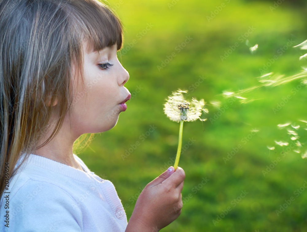 Little girl blowing dandelions on the meadow Little girl blowing dandelions on the meadow